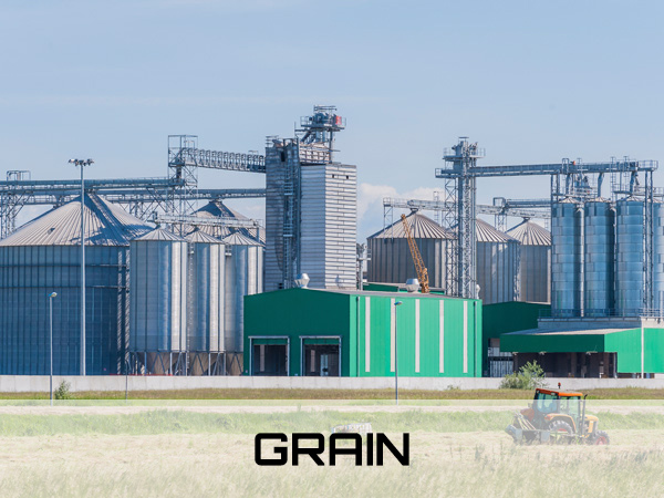 Grain